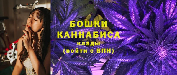 индика Липки