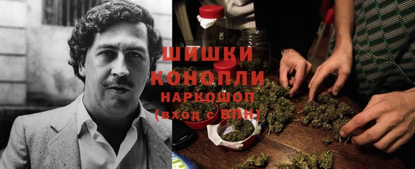 Альфа ПВП Кулебаки