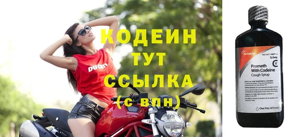 индика Липки
